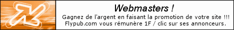 FlyPub : Gagnez de l'argent en faisant la promotion de votre site !!!